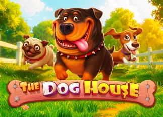 สล็อต666 The Dog House ทดลองเล่นฟรี